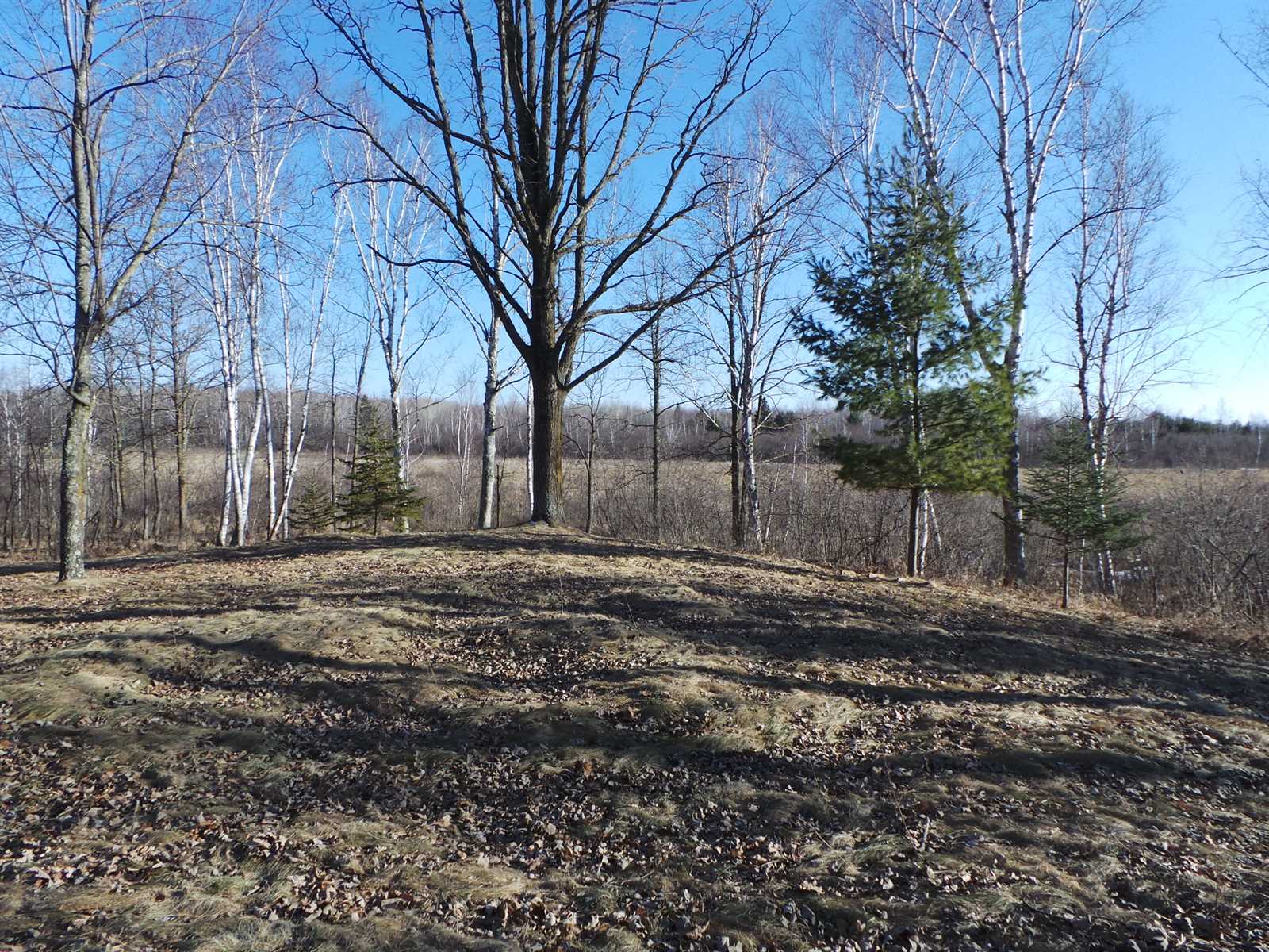 19406 Hardwood Loop, Finlayson, MN 55735