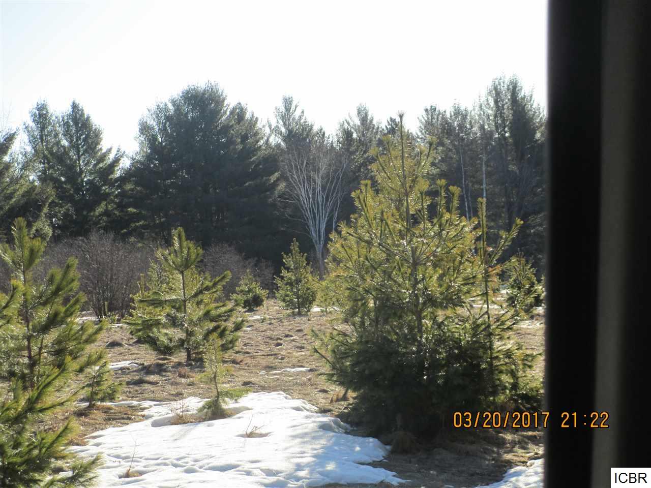 TBDHALE LAKE DR, Grand Rapids, MN 55744