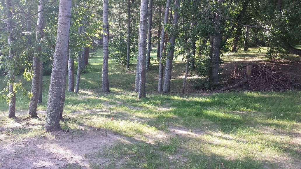 TBD Pine Landing Drive, Grand Rapids, MN 55744