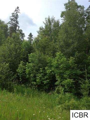 TBDRIVER RD, Grand Rapids, MN 55744
