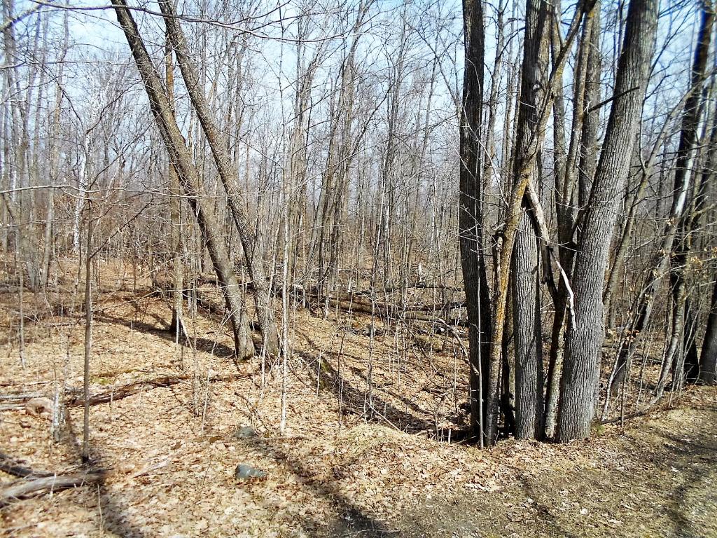 TBD E Deer Lake Road, Grand Rapids, MN 55744