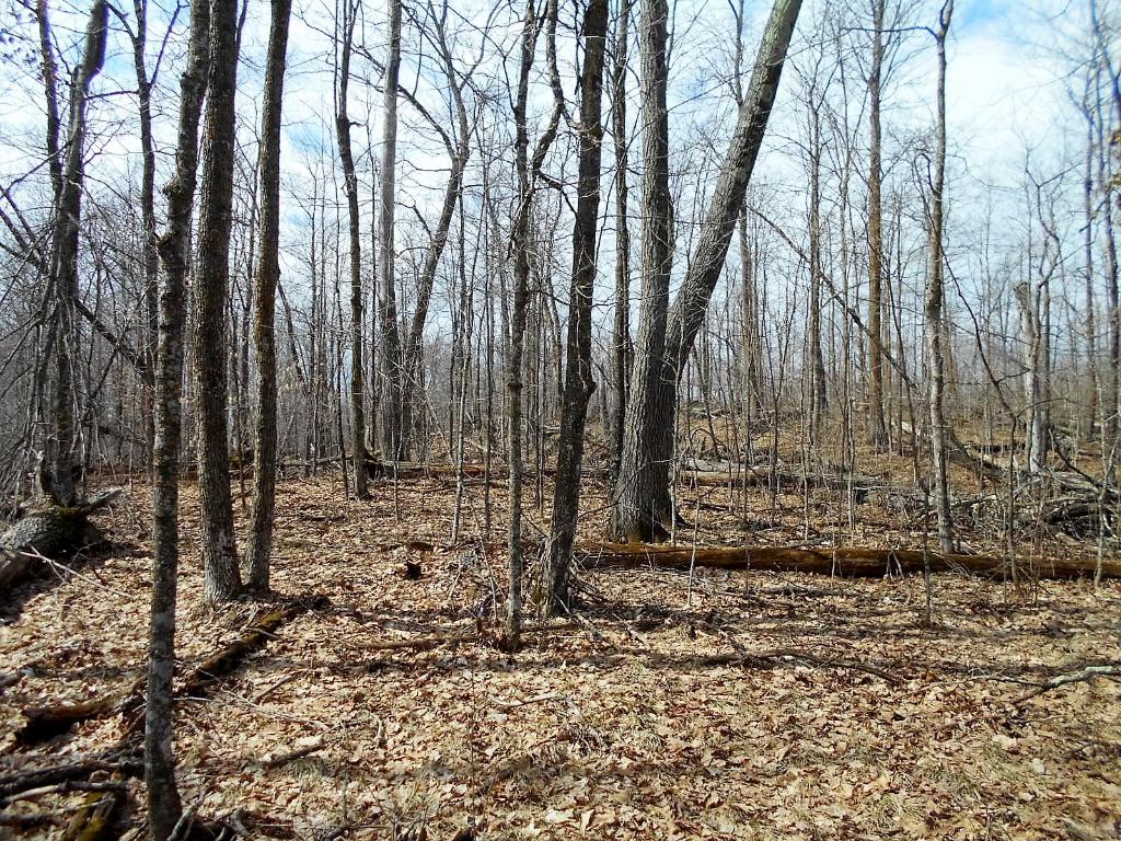 TBD E Deer Lake Road, Grand Rapids, MN 55744