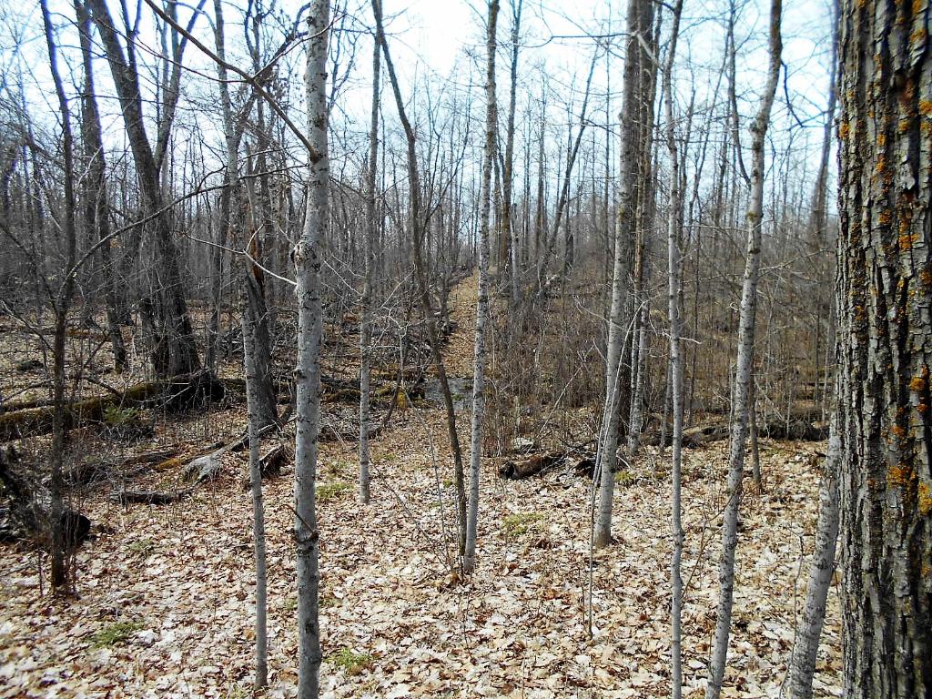 TBD E Deer Lake Road, Grand Rapids, MN 55744