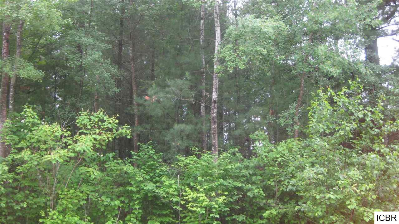 TBDBeachway Dr, Grand Rapids, MN 55744