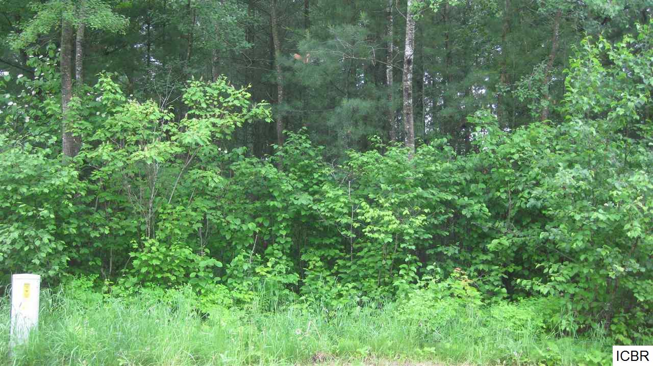 TBDBeachway Dr, Grand Rapids, MN 55744