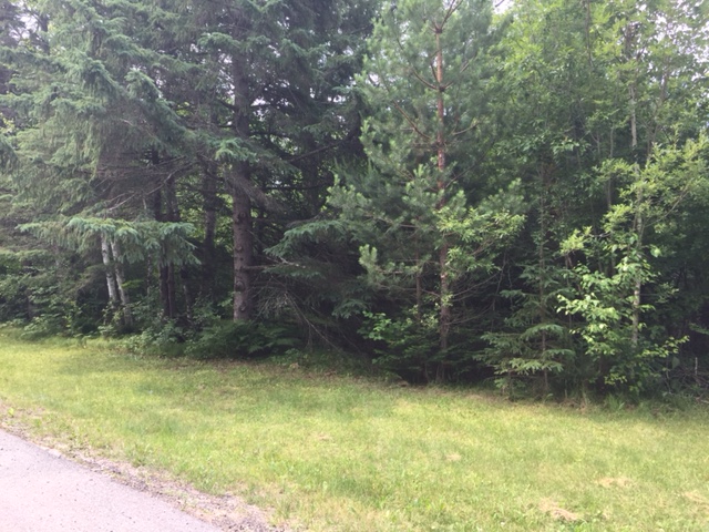 TBD Lorane Drive, LaPrairie, United States 55744