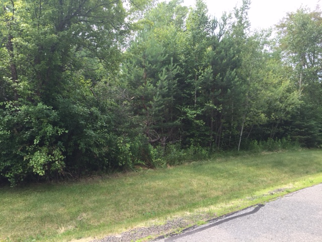 TBD Lorane Drive, LaPrairie, United States 55744
