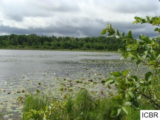 TBDCARLSON RD, Hibbing, MN 55746