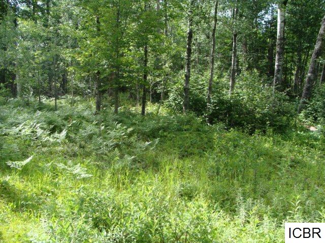 TBDCARLSON RD, Hibbing, MN 55746