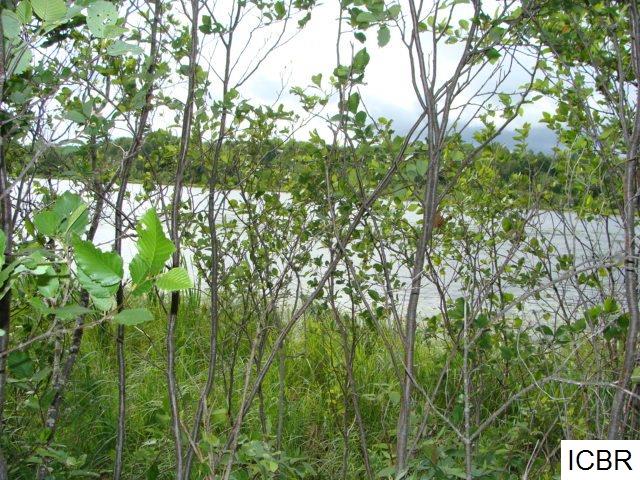 TBDCARLSON RD, Hibbing, MN 55746