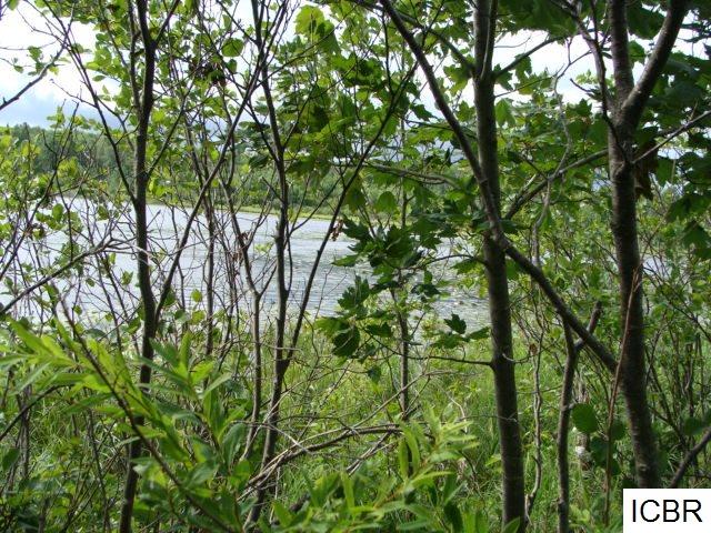 TBDCARLSON RD, Hibbing, MN 55746