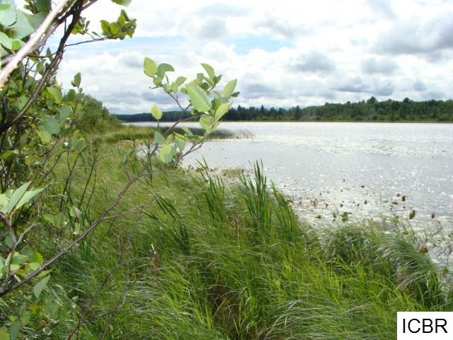 TBDCARLSON RD, Hibbing, MN 55746