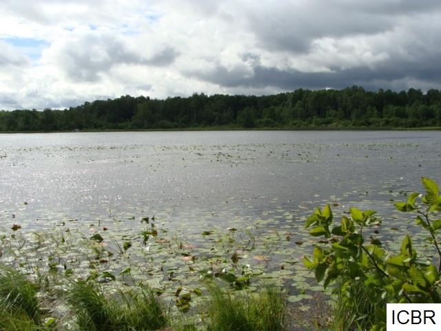 TBDCARLSON RD, Hibbing, MN 55746