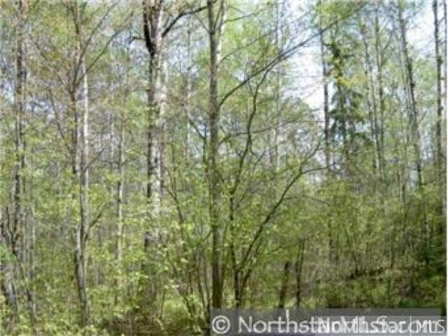 TBD 187th Place, McGregor, MN 55760