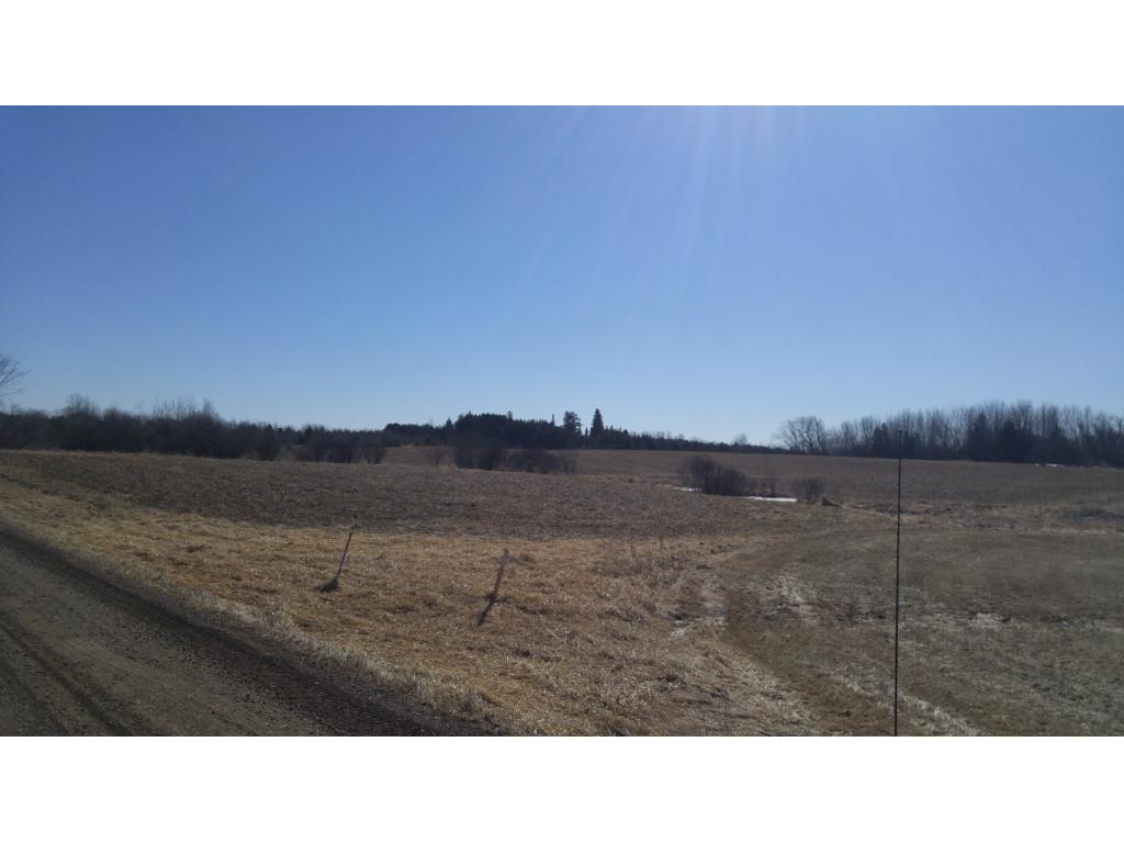 xxx Tower Road, Moose Lake, MN 55767