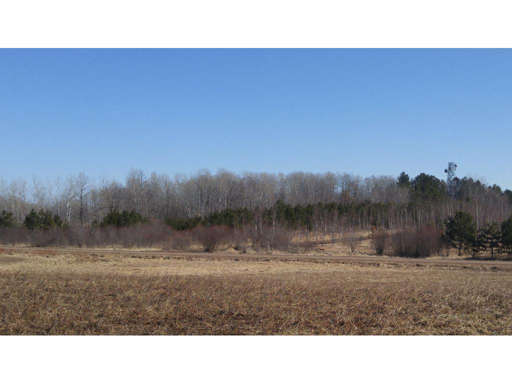 xxx Tower Road, Moose Lake, MN 55767