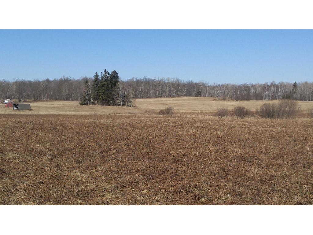 xxx Tower Road, Moose Lake, MN 55767