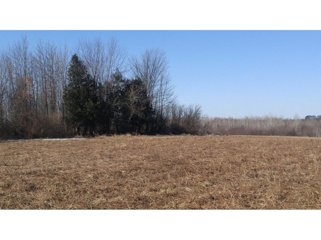 xxx Tower Road, Moose Lake, MN 55767