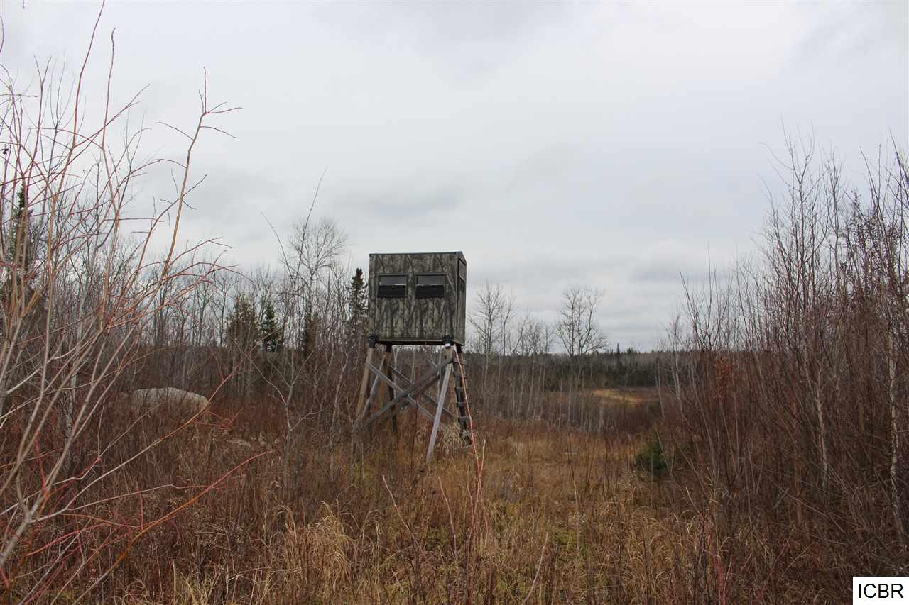 TBDTBD, Orr, MN 55771