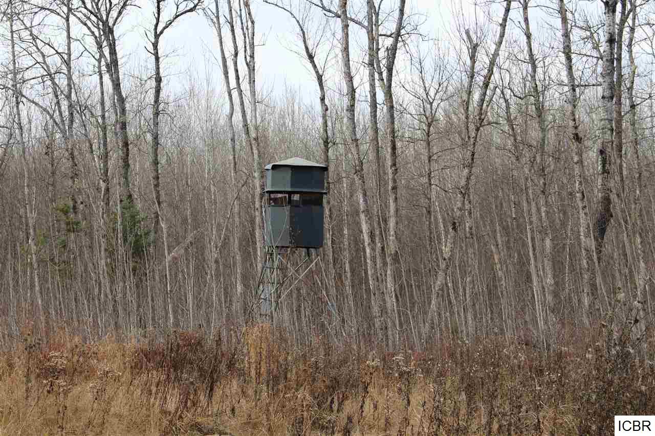 TBDTBD, Orr, MN 55771