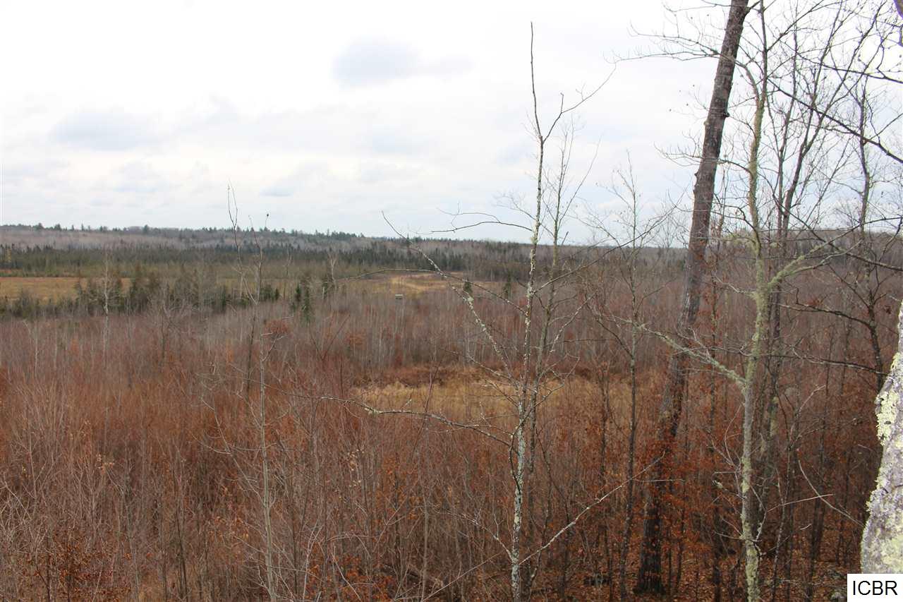 TBDTBD, Orr, MN 55771