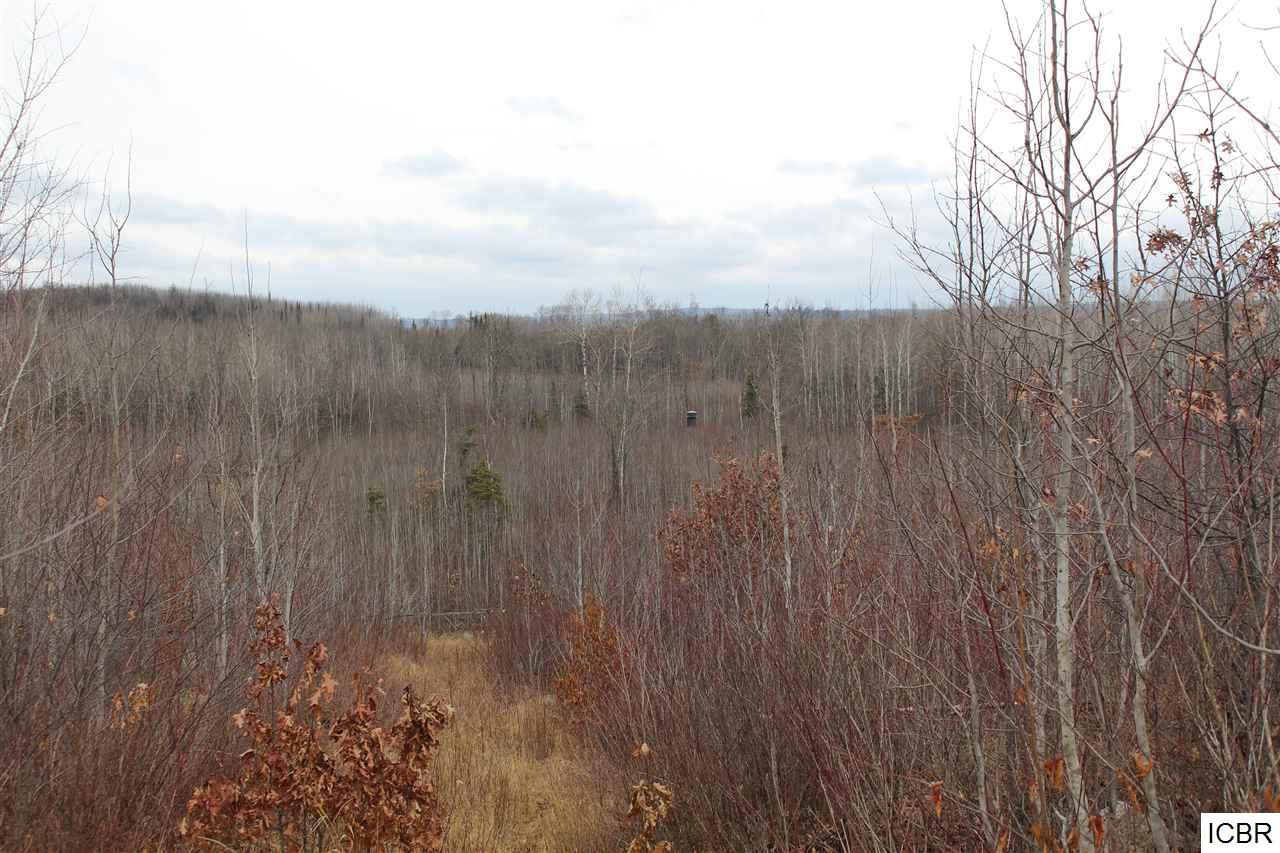 TBDTBD, Orr, MN 55771