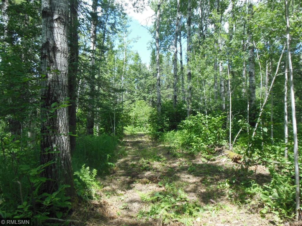 7042 Carlson Road, Saginaw, MN 55779