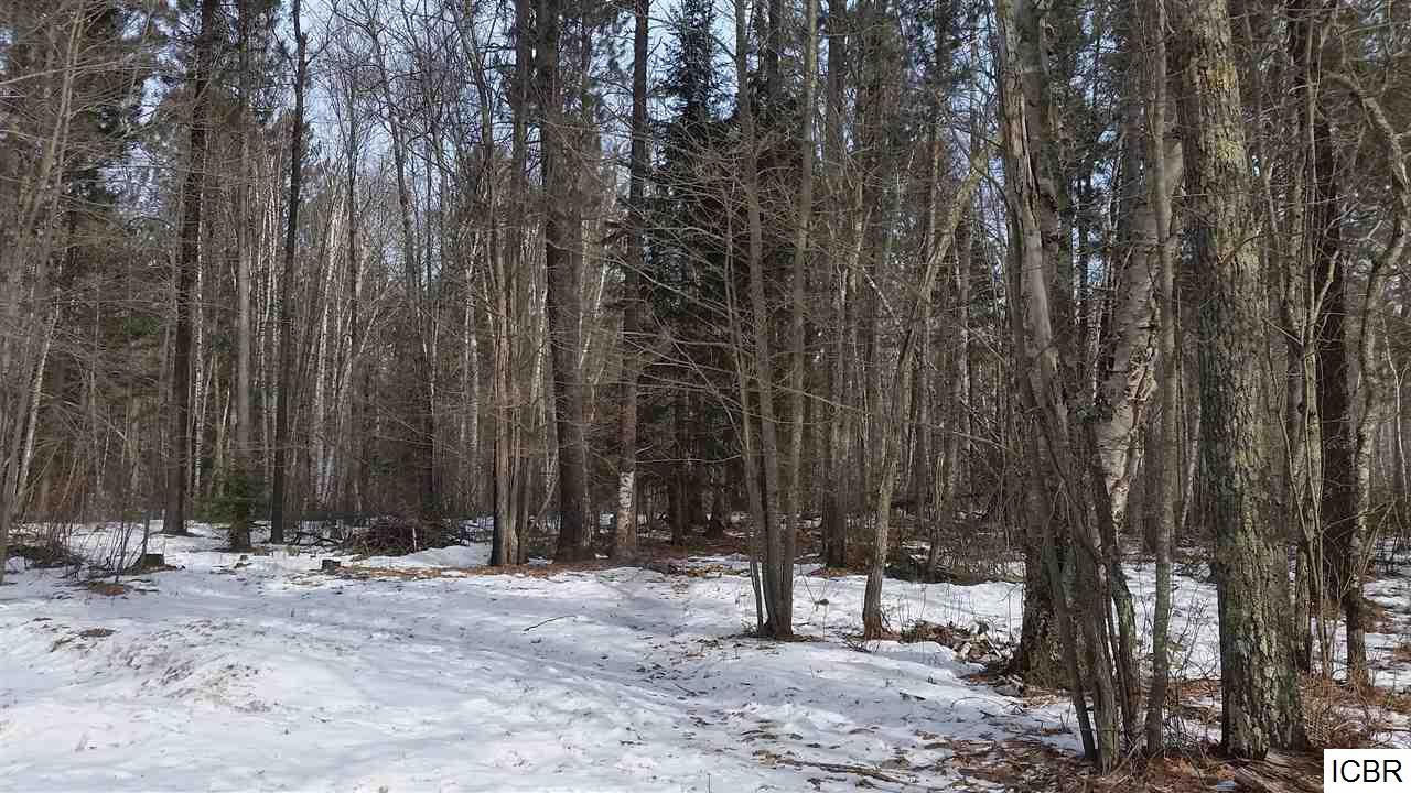 12855STURGEON RD, Side Lake, MN 55781