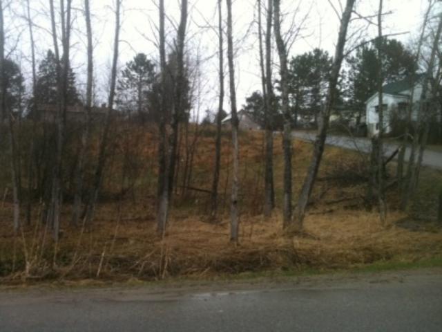 TBD Gordon Street, Breitung Twp, MN 55790
