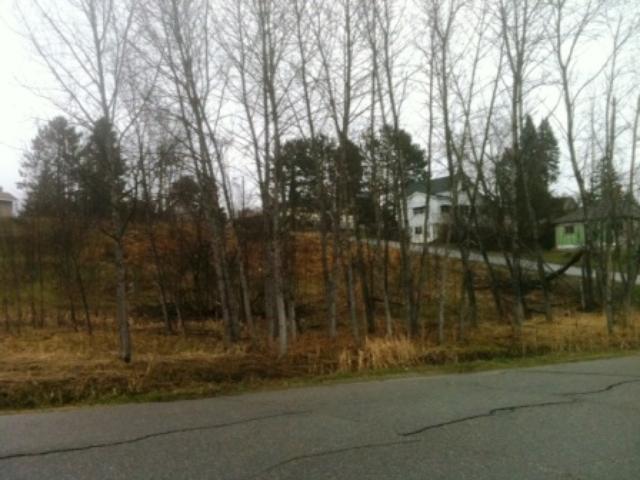 TBD Gordon Street, Breitung Twp, MN 55790