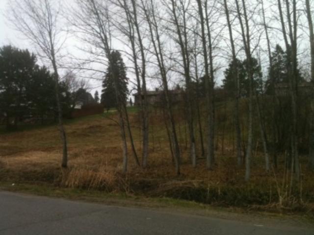 TBD Gordon Street, Breitung Twp, MN 55790