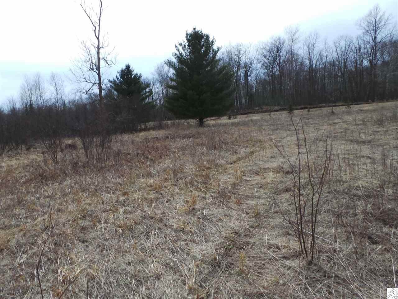 xxx Buttercup Ln, Willow River, MN 55795