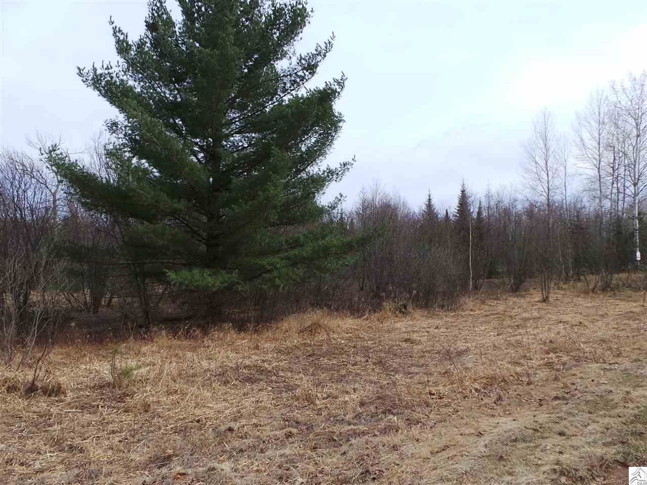 xxx Buttercup Ln, Willow River, MN 55795