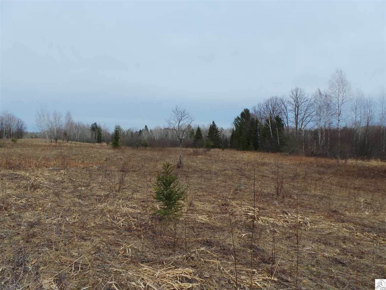 xxx Buttercup Ln, Willow River, MN 55795