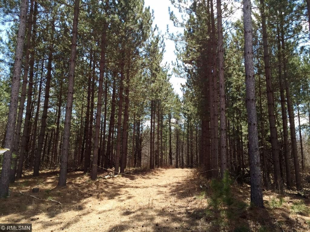 35026 Pine Tunnel Rd, Willow River, MN 55795
