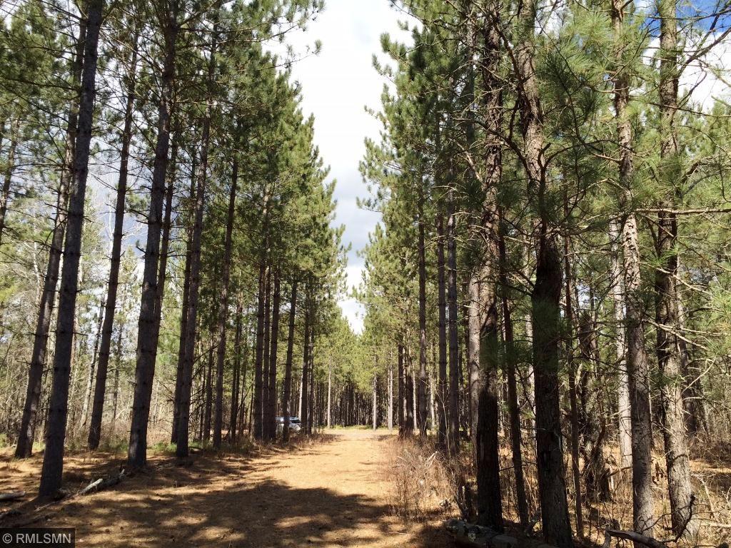 35026 Pine Tunnel Rd, Willow River, MN 55795
