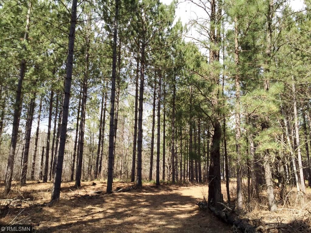 35026 Pine Tunnel Rd, Willow River, MN 55795