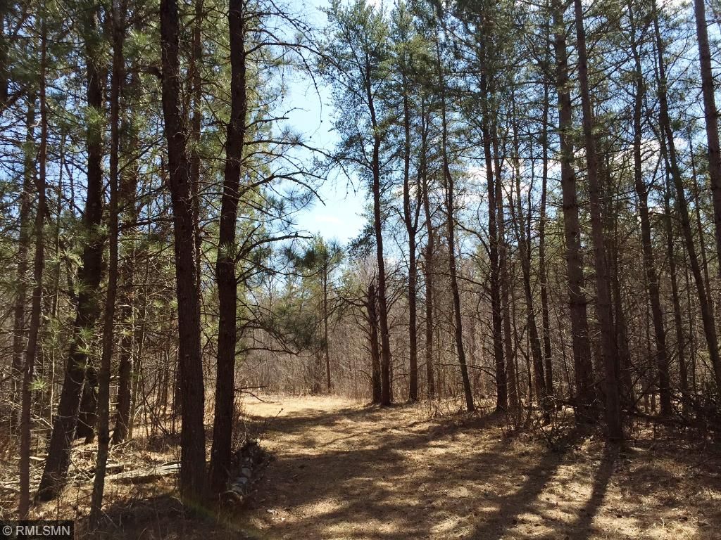 35026 Pine Tunnel Rd, Willow River, MN 55795