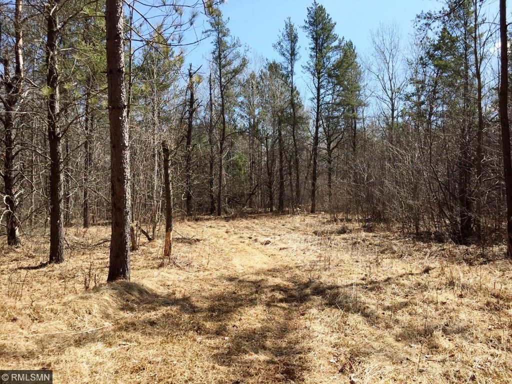 35026 Pine Tunnel Rd, Willow River, MN 55795