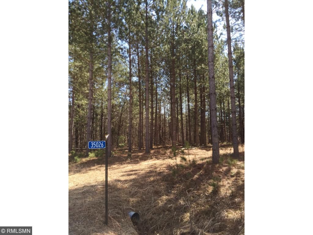 35026 Pine Tunnel Rd, Willow River, MN 55795