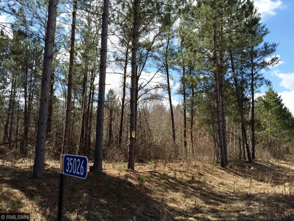 35026 Pine Tunnel Rd, Willow River, MN 55795