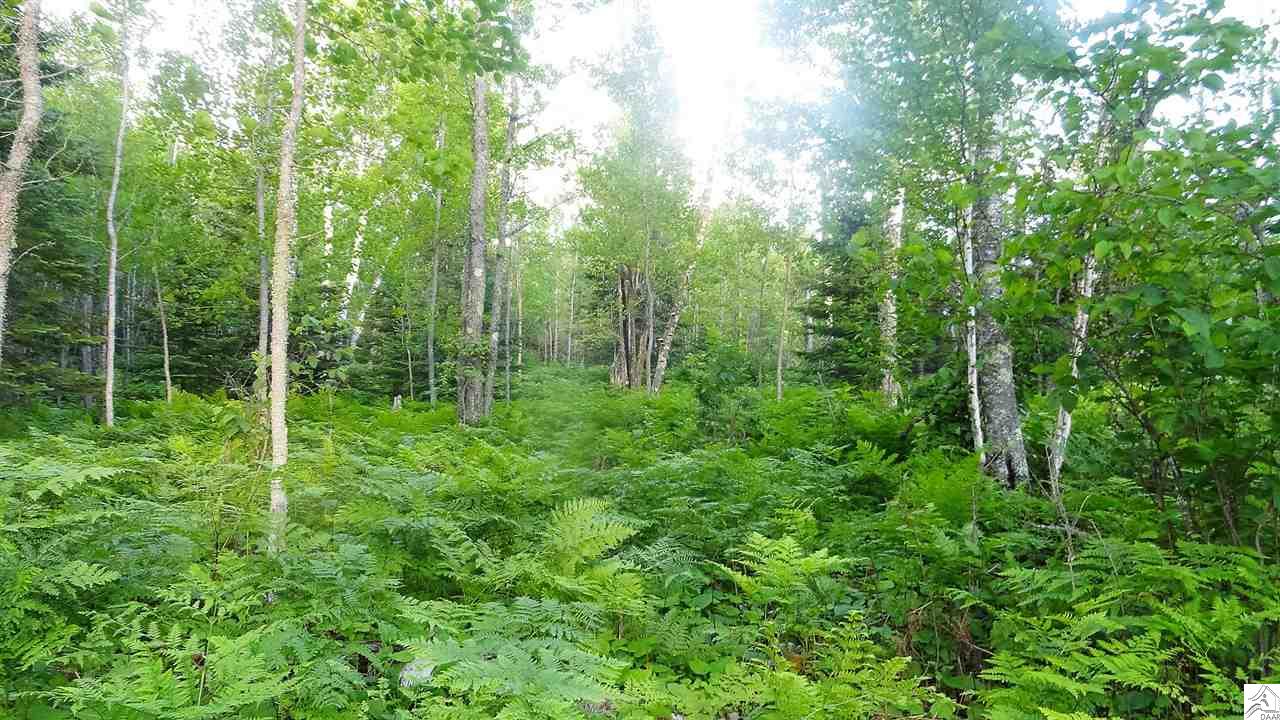 56XX Skogvei Rd, Duluth, MN 55803