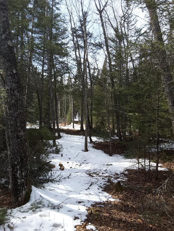xxxx Bergquist Rd., Duluth, MN 55804