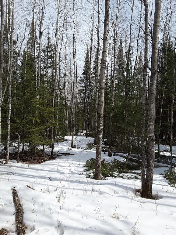 xxxx Bergquist Rd., Duluth, MN 55804