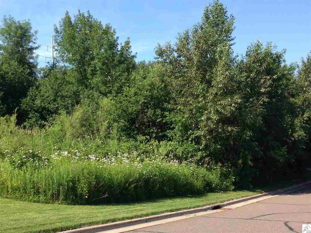 xx W 16th St, Duluth, MN 55806