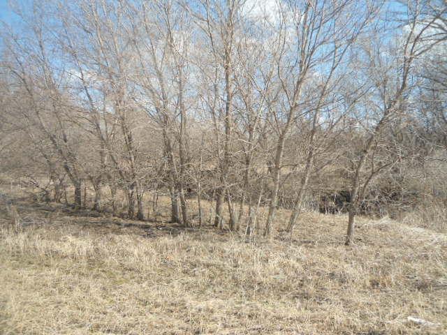 641 Nelson Drive, Wanamingo, MN 55983