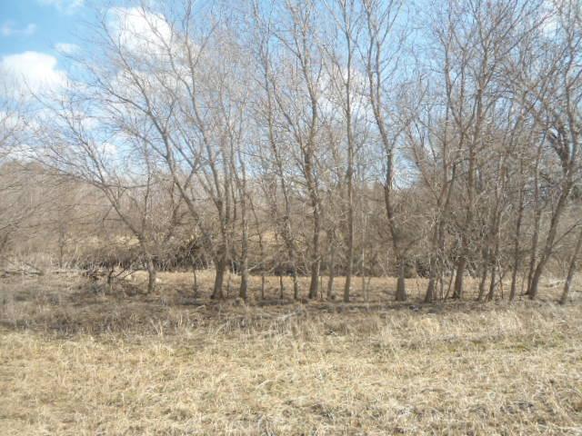 631 Nelson Drive, Wanamingo, MN 55983