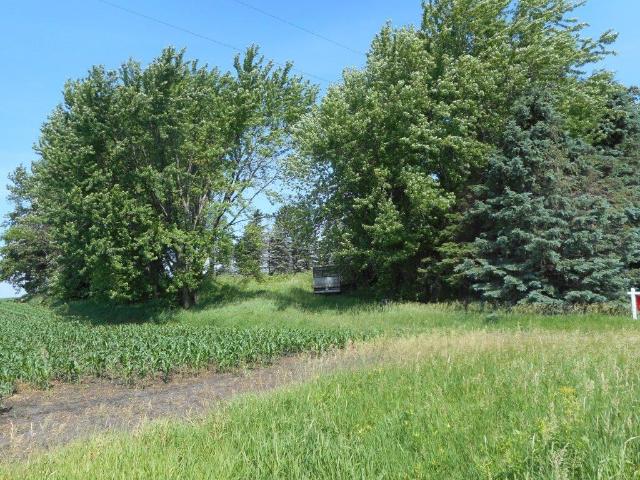 9802 52nd Avenue SW, Ellendale, MN 56026