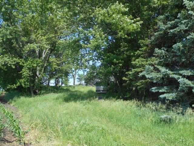 9802 52nd Avenue SW, Ellendale, MN 56026