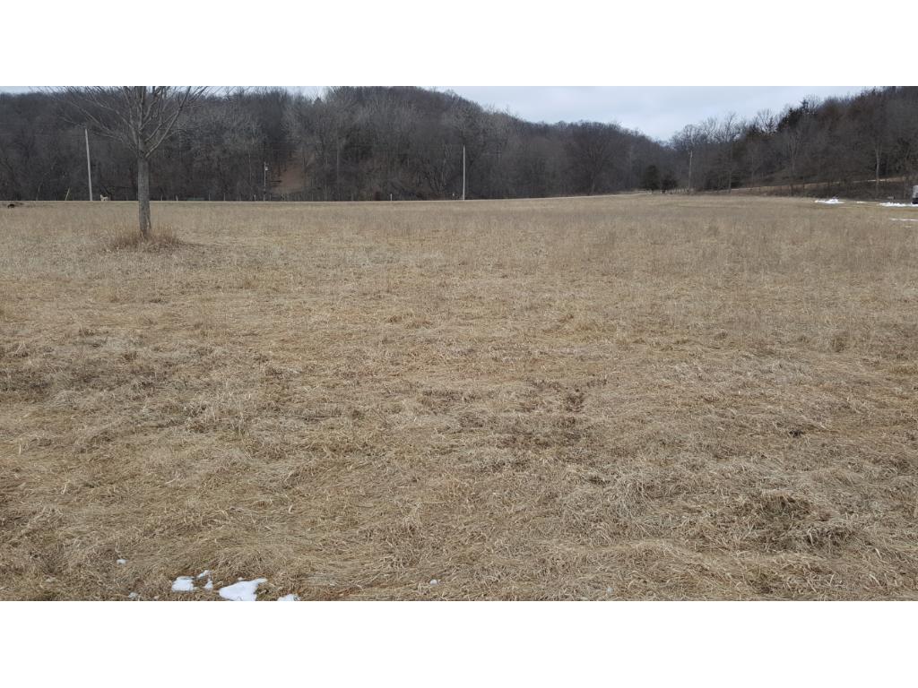 XXX Scenic Byway Road, Jessenland Twp, MN 56044